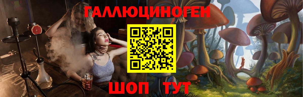 Амурск  Псилоцибиновые грибы ЛСД  Вход с VPN 